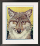 Nature Magazine - View of a Gray Wolf, c.1931 Prints