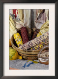 Squash, Corn, and Beans: the Three Sisters of Native American Agriculture Prints