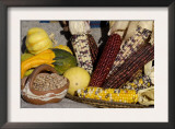 Squash, Corn, and Beans: the Three Sisters of Native American Agriculture Prints
