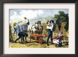 Gathering Pumpkins, an October Scene in New England, c.1860 Prints