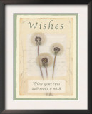 Wishes Posters