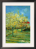 Orchard with Cypress Prints by Vincent van Gogh