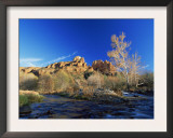 Oak Creek Running Before Cathedral Rocks, Red Rock Crossing, Sedona, Arizona, USA Prints by David Welling