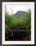 The First Step Invites Hikers up Koko Crater Prints by Stocktrek Images 