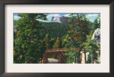 Mount Rushmore Nat'l Park, South Dakota - Panoramic View of the Park, Memorial in Distance, c.1935 Posters
