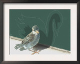 Wee Bird Becomes a Swan Prints by Lisa Weedn