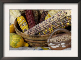 Squash, Corn, and Beans: the Three Sisters of Native American Agriculture Poster