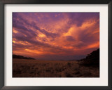 Cloudy Sunrise, Kaokoland, Namibia Print by Tony Heald