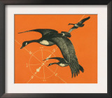 Nature Magazine - View of Canadian Geese Flying South, c.1949 Art