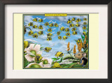 A Swarm of Spelling Bees Art by Richard Kelly