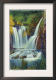 Black Hills, South Dakota - Little Spearfish Canyon View of Rough Lock Falls, c.1935 Prints