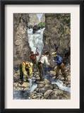 Prospectors Finding Gold in a Stream during the California Gold Rush Posters