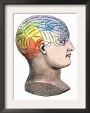 Phrenology Model of the Locations of the Various Organs of Mind in the Human Head Print