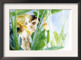 A Beautiful Flower Posters by Sir Lawrence Alma-Tadema