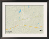 Political Map of Pelahatchie, MS Prints