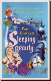 Sleeping Beauty Stretched Canvas Print