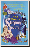 Sleeping Beauty Stretched Canvas Print