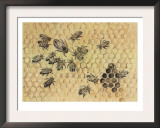 Peggy Visits The Bees Posters by Eileen Soper