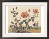 The Friendly Ladybird Prints by Eileen Soper