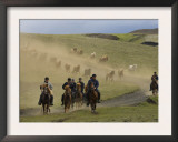 Icelandic Horses and Riders, Riding Near Landmannalaugar, Iceland Posters by Inaki Relanzon