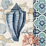 Trade Wind Conch Kunst von Jennifer Brinley