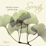 Serenity Ginko Plakat af Albert Koetsier