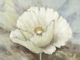White Elegance II Art par Danielle Nengerman