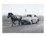 Pony Pulling Volkswagon, France Affiches