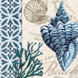 Trade Wind Whelk Posters by Jennifer Brinley