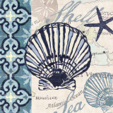 Trade Wind Scallop Prints by Jennifer Brinley