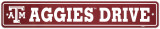 Texas A&M University Street Sign Wall Sign