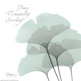 Ginkgo Sea I Posters van Albert Koetsier