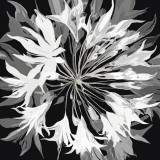Radiance II Posters by Sally Scaffardi