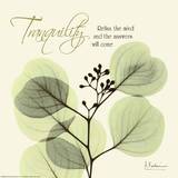 Albert Koetsier - Tranquility Eucalyptus - Reprodüksiyon Albert Koetsier - Tranquility Eucalyptus - Reprodüksiyon
