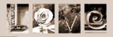 Love Prints by Lisa Simonetta
