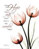 Hope Tulips Red Poster von Albert Koetsier