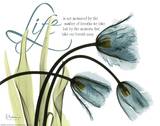 Mineral Blue Life Tulips Poster von Albert Koetsier