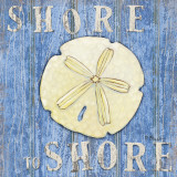 Coastal USA Sand Dollar Kunstdrucke von Paul Brent