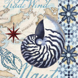 Jennifer Brinley - Trade Wind Nautilus - Poster Jennifer Brinley - Trade Wind Nautilus - Poster