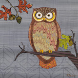 Awesome Owls II Posters by Paul Brent