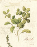 Aromatique III Plakater af Lisa Audit Aromatique III Plakater af Lisa Audit
