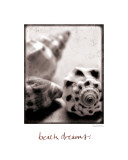 Beach Dreams Posters by Sue Schlabach