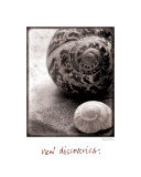 New Discoveries Poster von Sue Schlabach