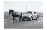 Pony Pulling Volkswagon, France Posters