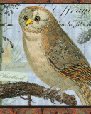 Enchanted Woodland Kunstdruck von Sue Schlabach