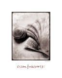 Ocean Treasures Prints by Sue Schlabach
