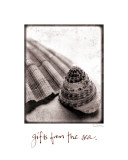 Gifts from the Sea Poster by Sue Schlabach