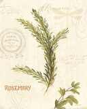 Aromatique II Posters par Lisa Audit
