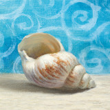 Gifts from the Sea I Posters by Danhui Nai