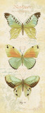 Cote Jardin V Posters by Daphne Brissonnet
